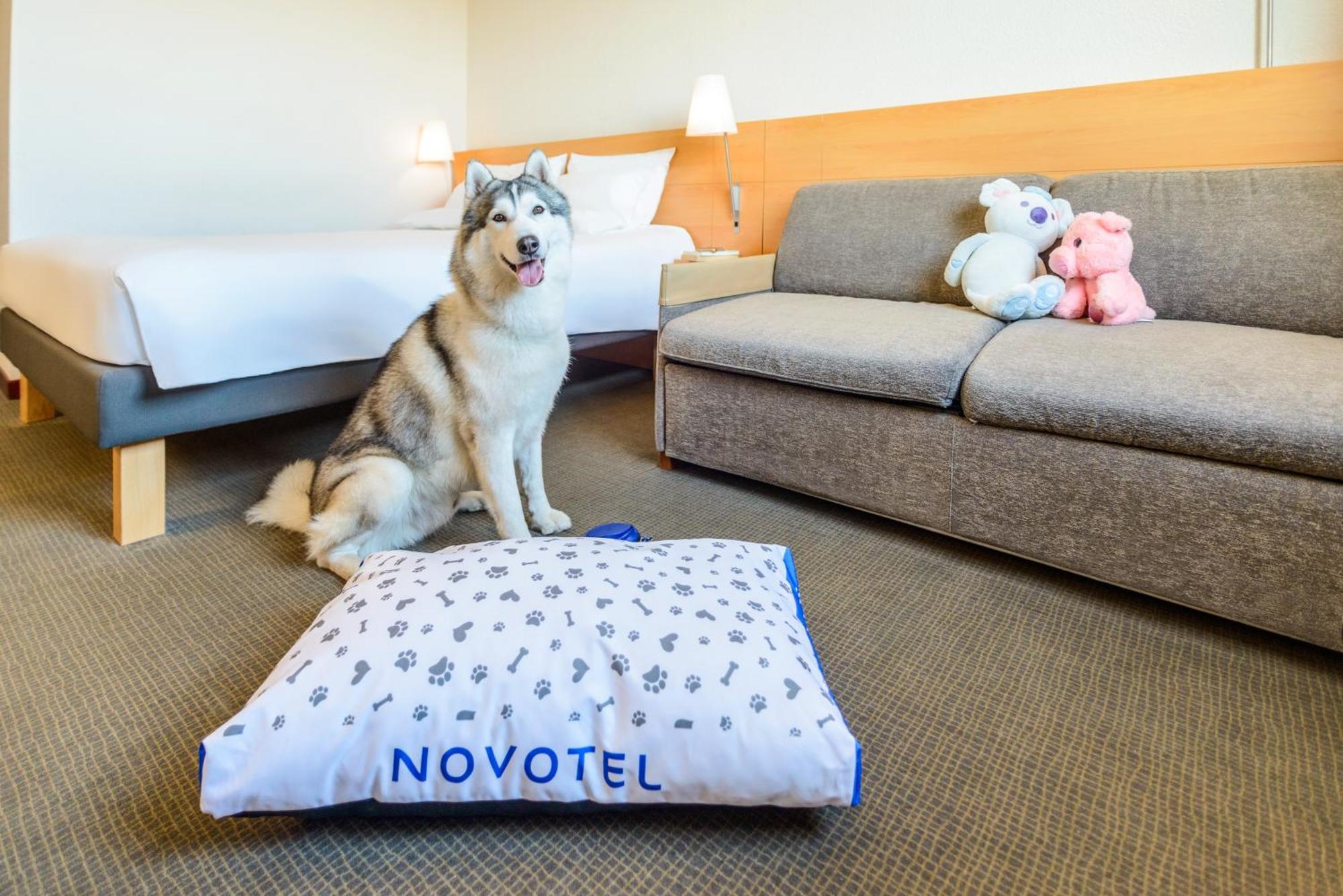 Novotel Torino Corso Giulio Cesare Eksteriør bilde