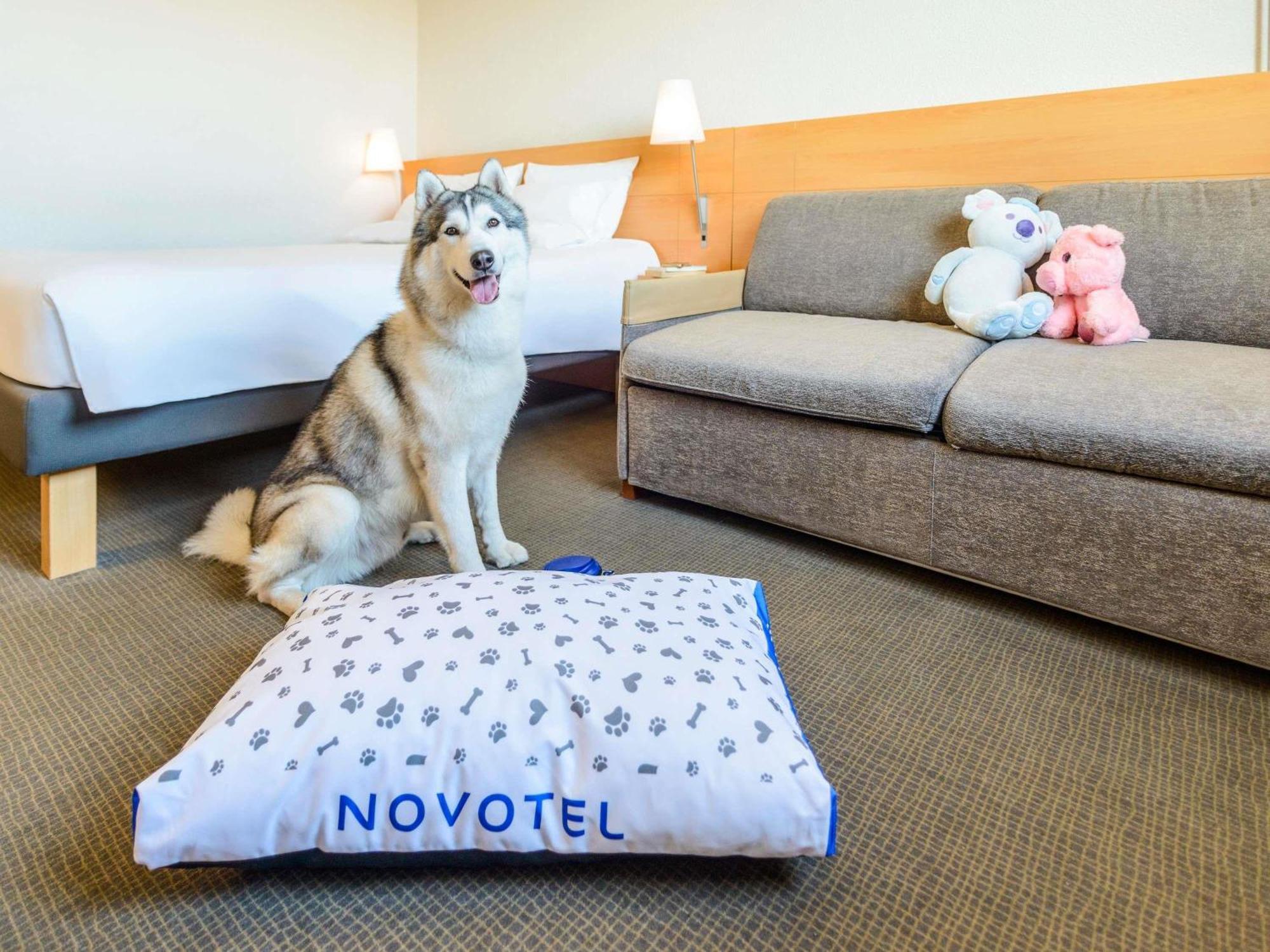 Novotel Torino Corso Giulio Cesare Eksteriør bilde